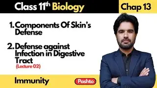 Components of Skin's Defense | Defense against Infection in Digestive Tract | 11th Biology