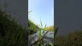 Beautiful view // ￼ hunting fish #fish hashtag fishing