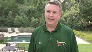 What is aeration and seeding?