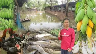 ทำเชิงเดี่ยวไม่รอด! เลยทำ​เกษตร​ผสมผสาน