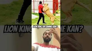 Iska samne sher bhi har gaya ☠️#love #shorts #animals #sher #reaction