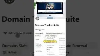 Domain Tracker Notion Template