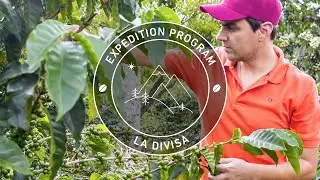 Pablo & Rusty's Expedition: Finca La Divisa | 100% Gesha