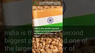 Top 10 Largest Importers of Indian Wheat