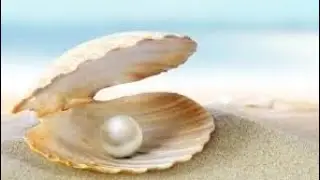 Proses terbentuknya mutiara