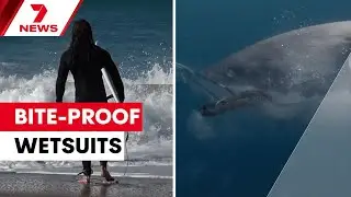 Shark bite-resistant wetsuits could save surfers' lives, Flinders University study finds | 7NEWS