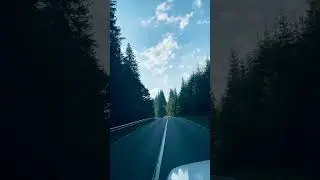 Said short ❤️feel the song status||feel the music #shorts #short #youtubeshorts #viral #naturelovers