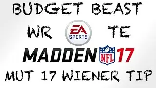 BUDGET BEASTS MUT 17  WR/TE
