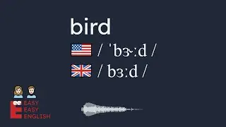 How to pronounce bird? US English UK English IPA Audio Waveform 👩👨 How to say bird correctly?