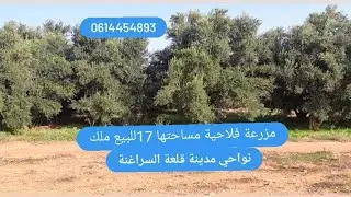 مزرعة فلاحية للبيع مساحتها 17هكتار للبيع نواحي مدينة قلعة السراغنة