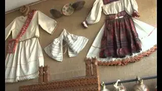 Liceul Teoretic Negresti Oas, SATU MARE