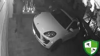 Live and Alert: NLSG Alarm Guards at Your Service!