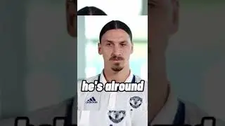 zlatan, lions don't compare themselves with human#boysquotes #shorts