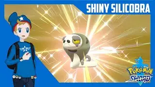 Shiny Hatched Silicobra in just 15 Eggs | Pokemon Sword and Shield