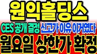 [원익홀딩스전망]CES 공개 결정 신고가 이유 바로 이거였네요 