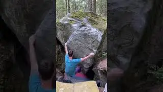 Panzerknacker, 7a. Magic Wood