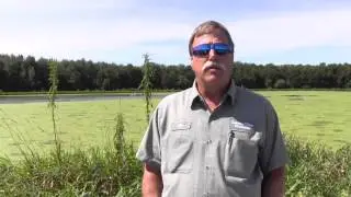 A Solar Solution in Swanton, Vt.