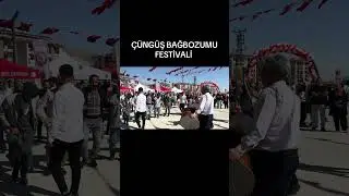 DİYARBAKIR &Ccedil;&Uuml;NG&Uuml;Ş BAĞBOZUMU VE BAL FESTİVALİ