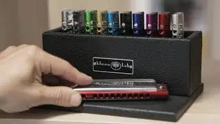 BLUEXLAB MOVIE