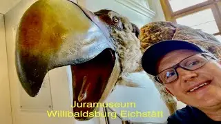 Juramuseum Eichst&auml;tt Willibaldsburg