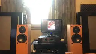 DYNAUDIO D28/2 & PEERLESS HDS