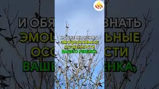 Мудрость Учителя: Равная любовь