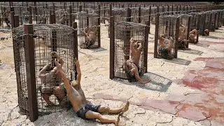 Qaidi Ne Impossible Jail Break kiya (as my feet will carry me movie explained in Hindi Urdu)