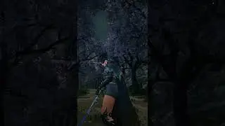 BLACK DESERT - EDIT