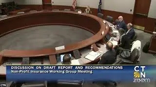 Non-Profit Liability/Property Casualty Working Group