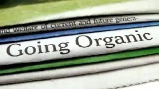 For those who want guaranteed top search engine ranking