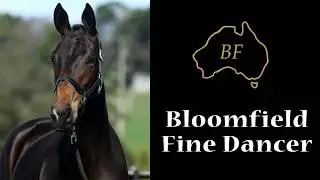 Bloomfield Fine Dancer