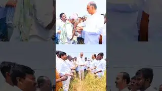 Harish Rao Garu with Farmers #brs #harishrao #kcr #ktr #congress #farmers #revanthreddy #bjp #shorts