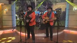 Gente Regia - Los Sementales de Nuevo León 