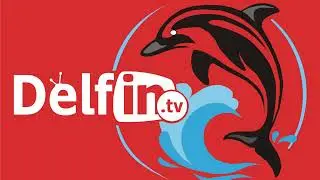 DelfinTV.es