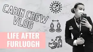 Flight Attendant Back to Work - Cabin Crew and Life After Furluogh