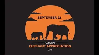 National Elephant Appreciation Day