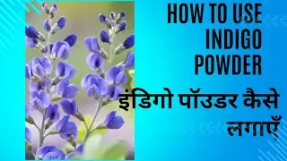 How to use Indigo powder|Natural Hair Dye|Chemical Free Hair Colour|इंडिगो पॉउडरको कैसे उसे करें