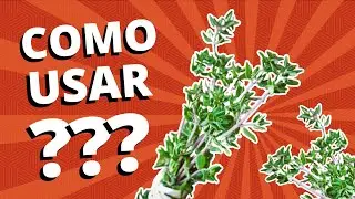 ¿CON QUÉ VA EL TOMILLO? | CÓMO UTILIZAR - EPISODIO 03 | ENTRAR A LA COCINA