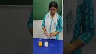 🧪 Acid&ndash;Base Indicator Experiment with Turmeric | Lemon Water & Soap Water Test 🍋🧼