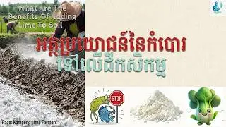 អត្ថប្រយោជន៍នៃ​កំបោរ​លើដី​កសិកម្ម​( Benifits Of Adding Lime To Soil)