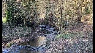 Observing Nature - Part 2