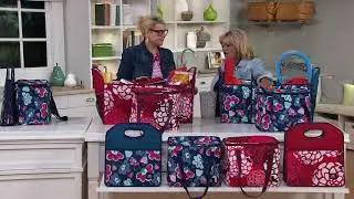 California Innovations Trunk Organizer with Removable Cooler Bag on QVC