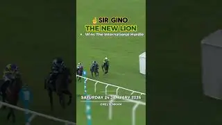 🆕🦁THE NEW LION - Wins The International Hurdle But 🙏Hoping SIR GINO is OK