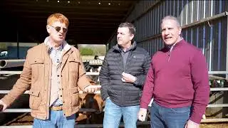 IGA Explores Data and Technology with Merck Animal Health