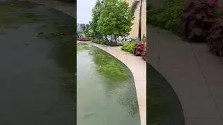 Water logging Ratlam #ratlam #ratlamwaterlogging #ratlamrain