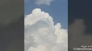 الشاعر فهيدعيد الشويلعي الحان الفنان ابوبدر