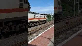 WAP-7 Shriller Honk | RPM WAP-7 
