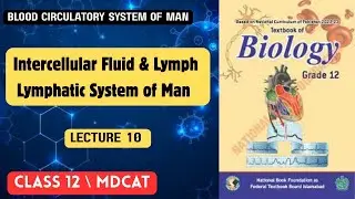 Intercellular Fluid & Lymph| Lymphatic System of Man| Lecture 10 |Chapter 2| 2nd Year Biology 2025