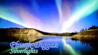 Phunk Diggaz - Silverlights