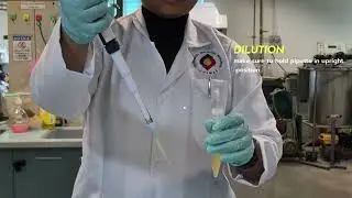 Sampling of Batch Ethanol Fermentation in a Stirred Tank Bioreactor
